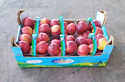 Foto Nettarine  a Pasta Gialla Calibro B Lavorazione in Cestini Origine Spagna Marchio Triolo   1
